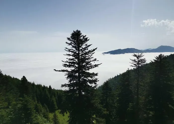 Apartmán Ha-py Friends Campan