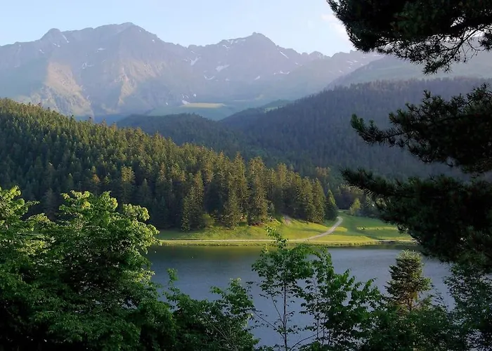 Ha-py Friends Campan