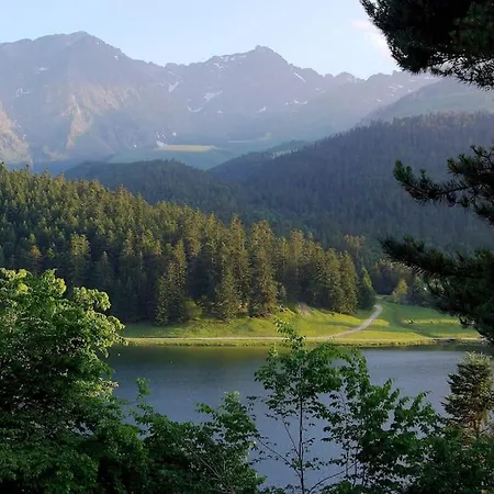 Ha-py Friends Campan